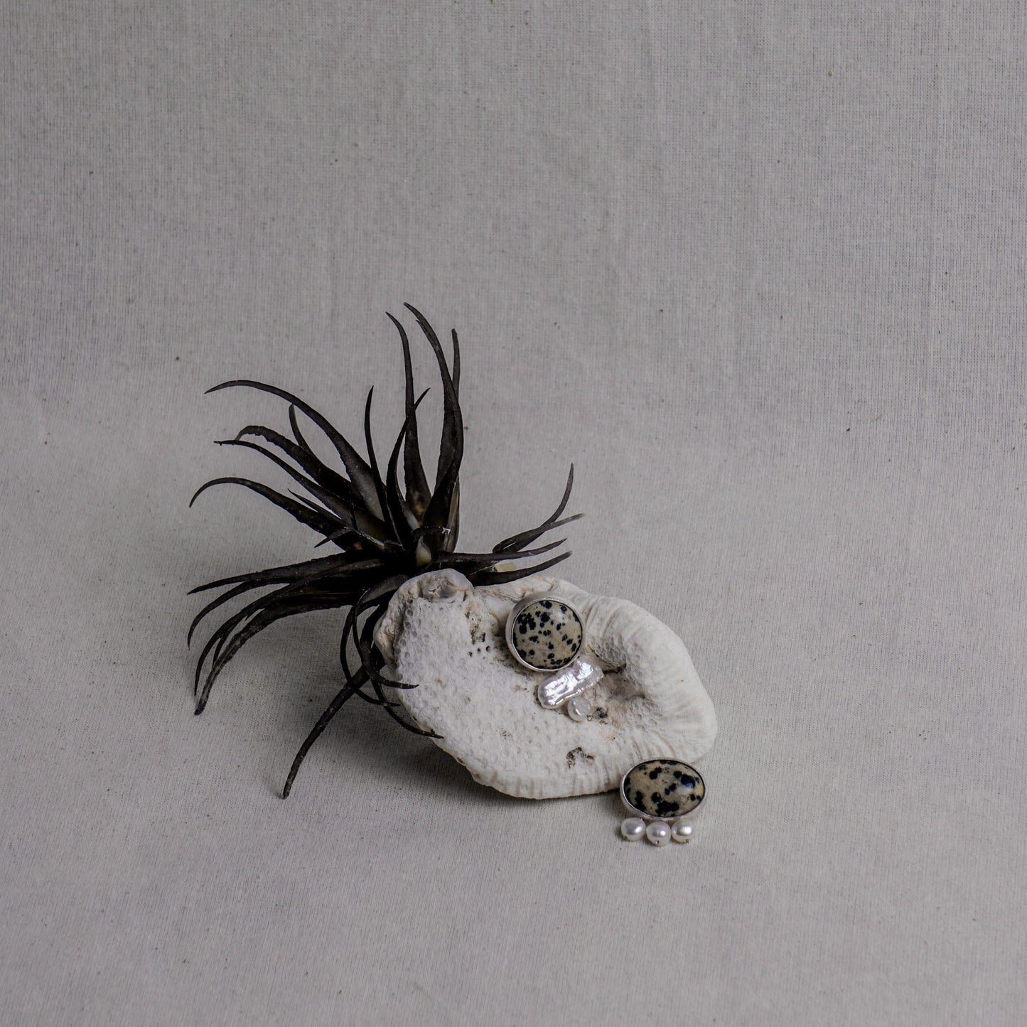 Dalmatian stone earrings